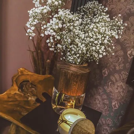 Apartment Luxurious Apartment, Center Of Katowice, Nospr, Spodek, Mdk *