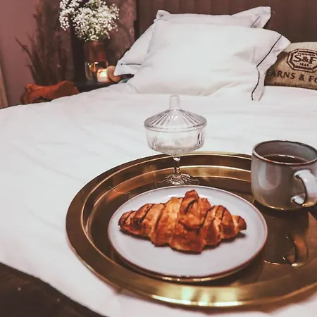 Luxurious Apartment, Center Of Katowice, Nospr, Spodek, Mdk Daire Katoviçe