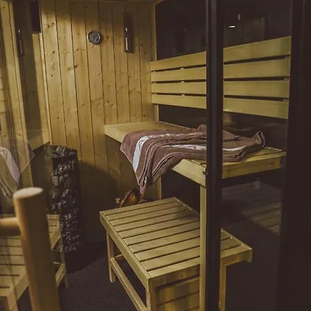 Luxurious Apartment, Center Of Katowice, Nospr, Spodek, Mdk Apartment