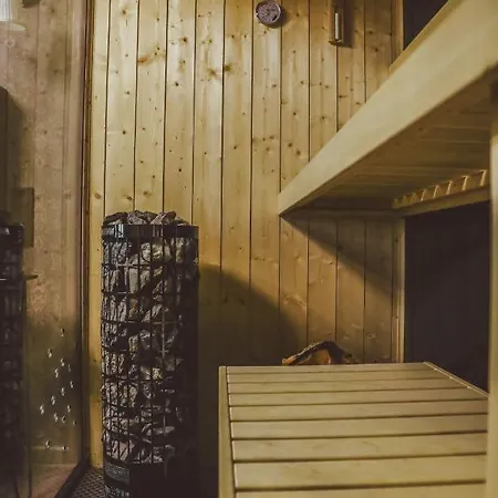 Luxurious Apartment, Center Of Katowice, Nospr, Spodek, Mdk