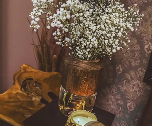 Διαμέρισμα Luxurious Apartment, Center Of Katowice, Nospr, Spodek, Mdk *