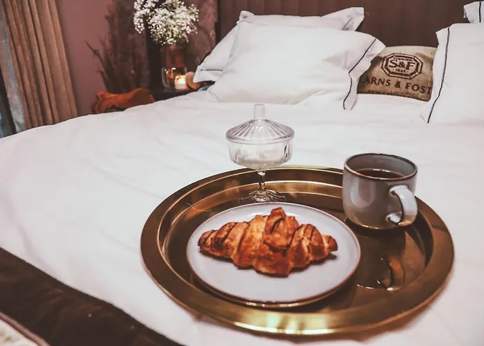 Luxurious Apartment, Center Of Katowice, Nospr, Spodek, Mdk Διαμέρισμα Κατοβίτσε